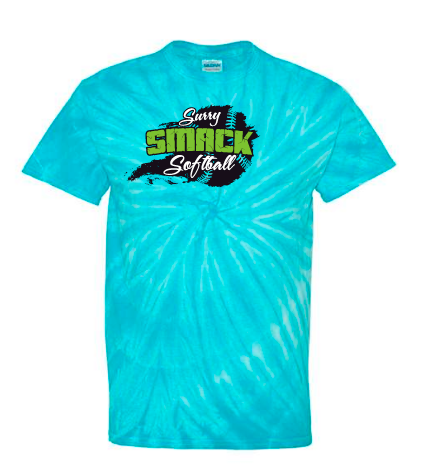 Smack Dyenomite - Cyclone Pinwheel Tie-Dyed T-Shirt - 200CY & 20BCY